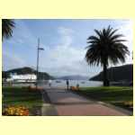 NZ5215.jpg